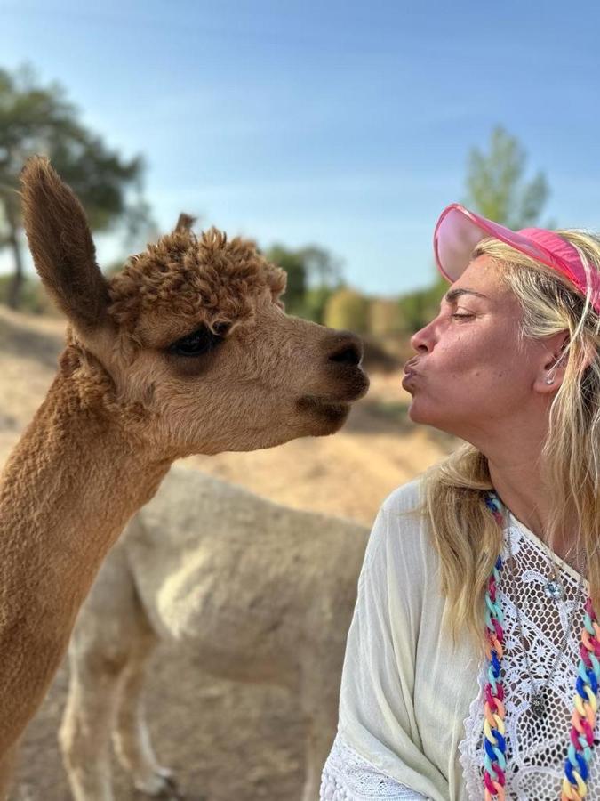 Grândola Alpaca Farm And B&B - Mama Adama المظهر الخارجي الصورة
