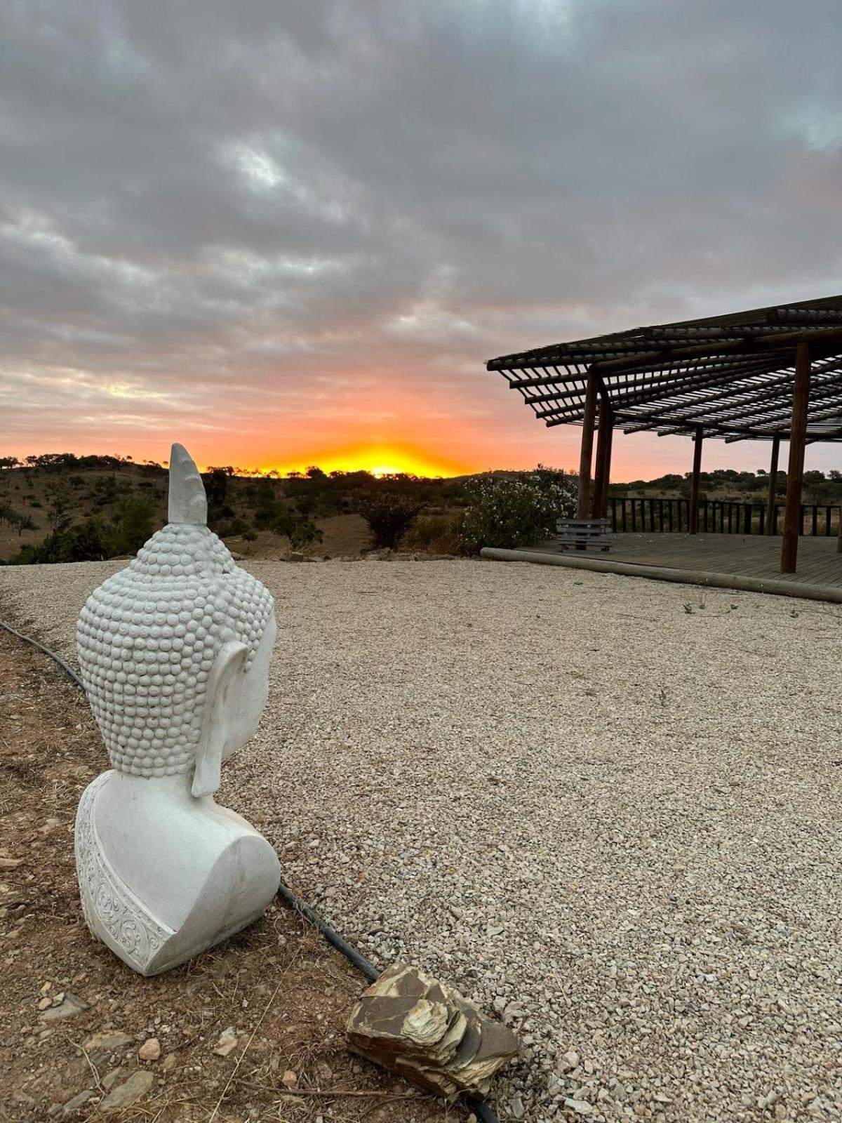 Grândola Alpaca Farm And B&B - Mama Adama المظهر الخارجي الصورة